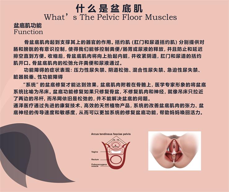 盆底肌修復(fù)儀器，能用于骨盆修復(fù)嗎？
