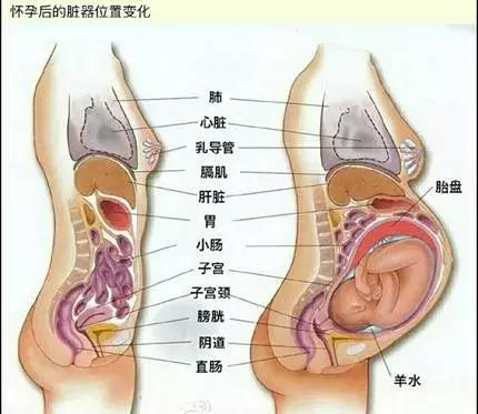 產后恢復